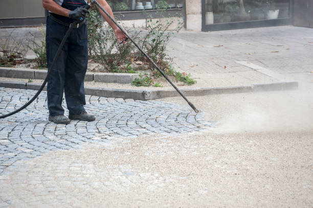 Best Pre-Holiday Cleaning  in Manvel, TX